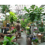 Recycle Pot Project