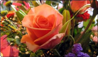 Ah Sam Flowers