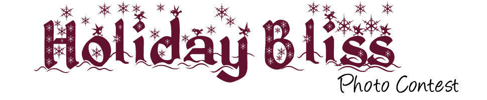 Holiday Bliss Photo Contest