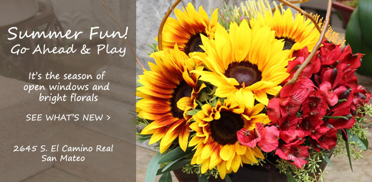 Ah Sam Flowers and Plants Delivery to San Mateo, Burlingame, Hillsborough, Foster City, Menlo Park, Redwood City, San Carlos, Atherton, Belmont, Redwood Shores, Palo Alto, Mountain View, Sunnyvale, South San Francisco, San Jose, East Bay, San Francisco