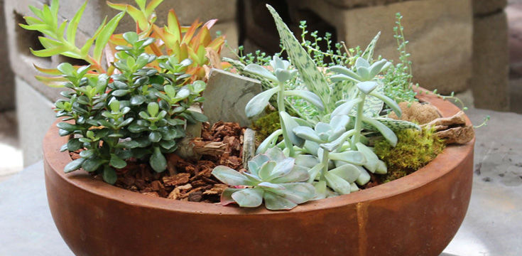 Ah Sam Flowers and Plants Delivery to San Mateo, Burlingame, Hillsborough, Foster City, Menlo Park, Redwood City, San Carlos, Atherton, Belmont, Redwood Shores, Palo Alto, Mountain View, Sunnyvale, South San Francisco, San Jose, East Bay, San Francisco