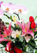 Did You Forget Mom's Day?