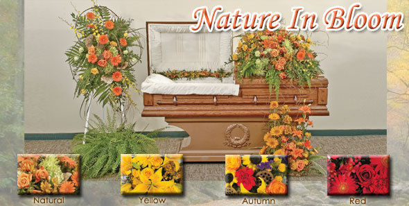 Nature in Bloom