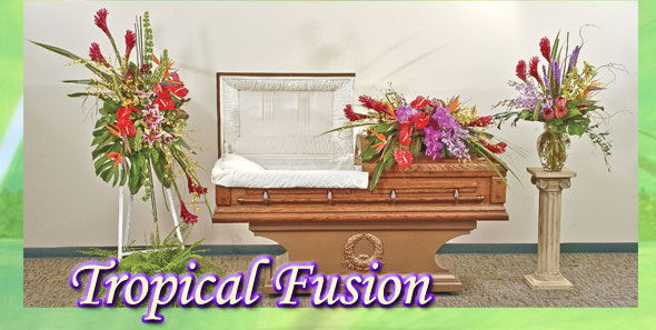 Tropical Fusion