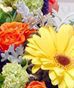Get Well Ideas