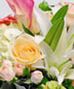 Anniversary & Romance