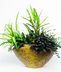 Green Plants