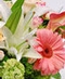 Spring Floral Collection