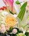 Pastels & White Flower Designs