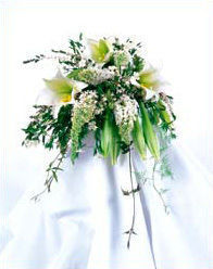 Weddings at Ah Sam Flowers