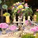 Spring Feature 2