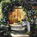 Ahh Garden 2