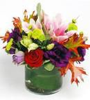 Arrangement
