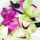 Purple Callas & Green Cymbidiums