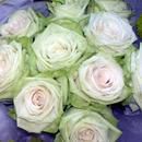 Green/White Roses