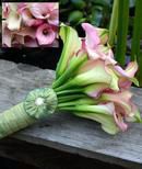 Mini Calla Lily