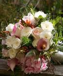 Mixed Roses