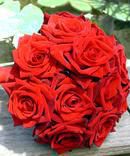 Red Roses