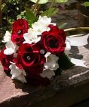 Roses & Freesias