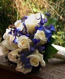 Roses & Delphinium