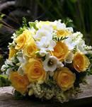 Yellow Roses & Freesia