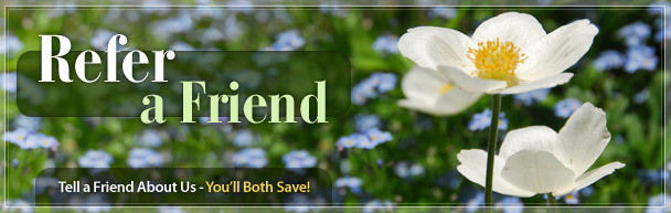 refer a friend banner refer a friend banner