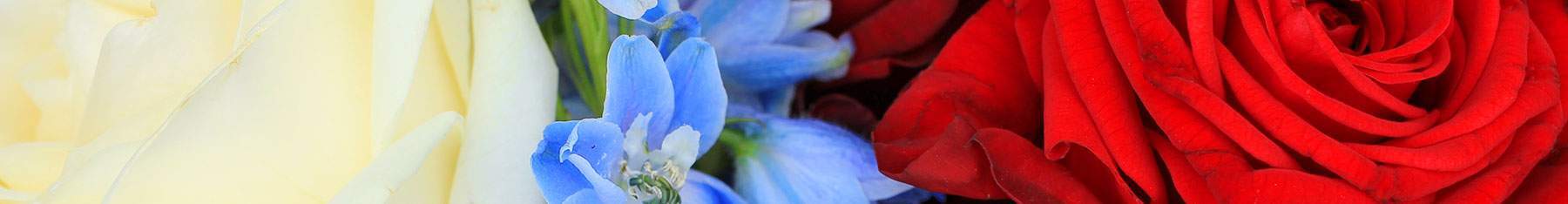 Flowers in Red, White and Blue