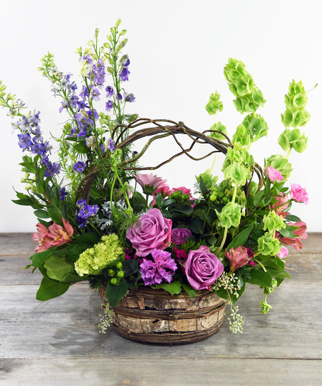 Spring in Bloom