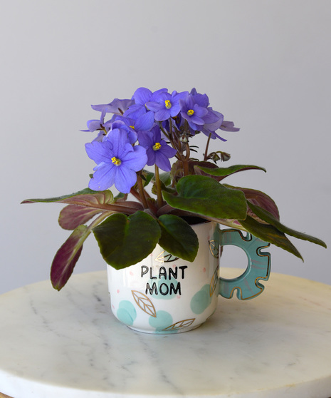 Violet Plant Mom Mug