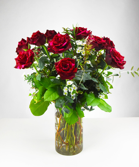 Romantic Red Panther Rose - Kissed by Marbled Pink