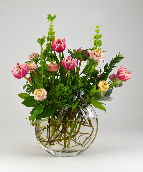 Spring Radiance, Ranunculus  - Available Until  May 3rd