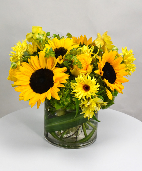 Sunflower Smile