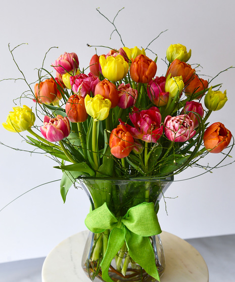 Tulip Symphony - Double Peony Tulips