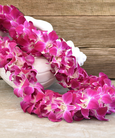 Premium Fuchsia Orchid Le'i - One Week Pre-Order