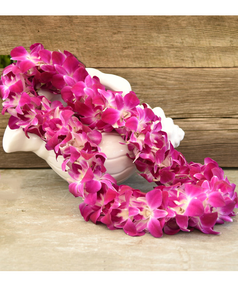 Double Fuchsia Orchid Lei - Available at Commencement