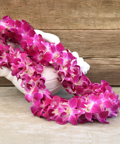 Fuchsia Orchid Lei - Purchase at Commencement Will Call