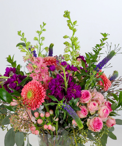Designer Selection Vibrant