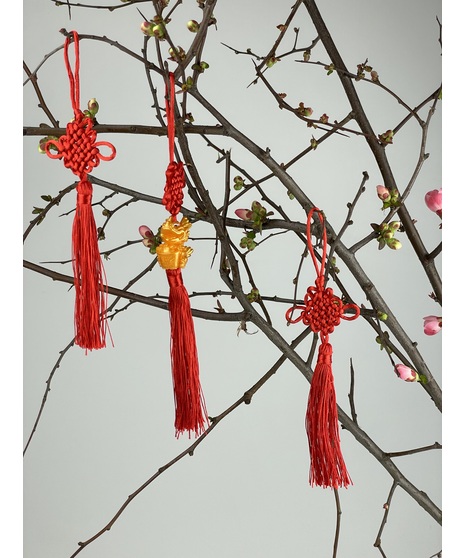 chinese new year tassel meaning