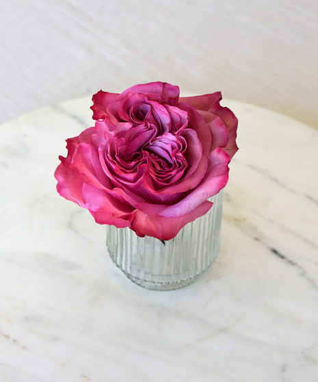 six classic red roses in a vase