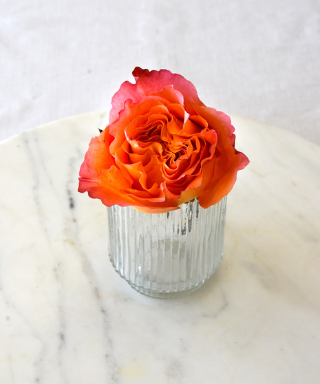 six classic red roses in a vase