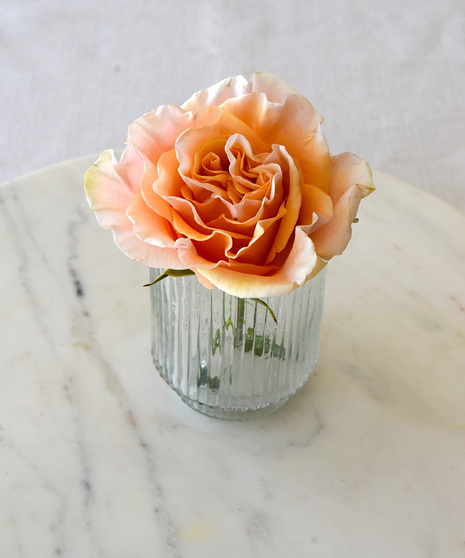 six classic red roses in a vase