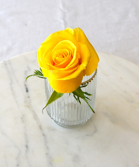six classic red roses in a vase