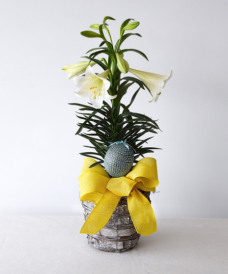 Our lush Easter lily plant with multiple blossoms is presented in a natural basket and a spring bow with a bird in a nest. 
