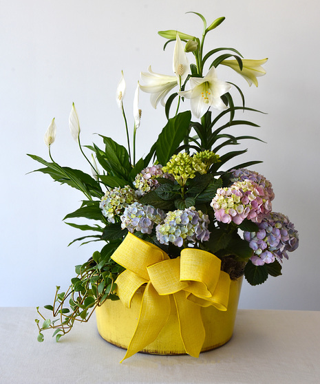 Spring Blooming Garden