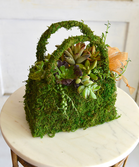 Succulent fashionistas will adore the moss purse overflowing with hand selected and planted succulents as a garden. 
