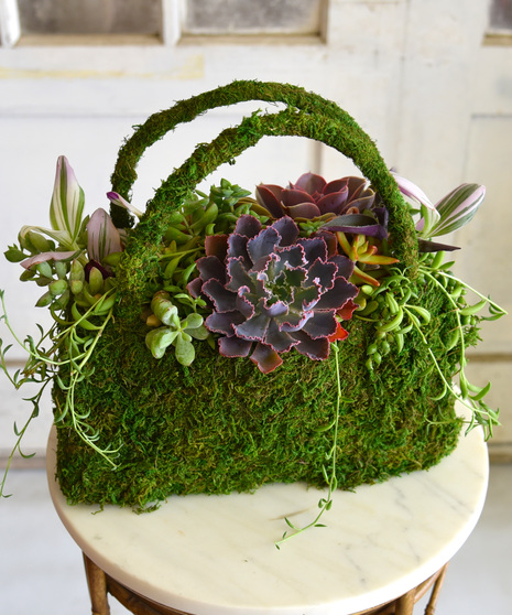 Elle  Succulent Purse
