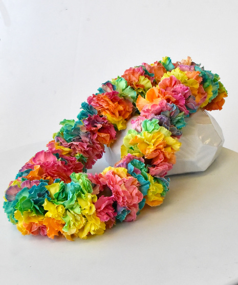 Rainbow Carnation Le'i