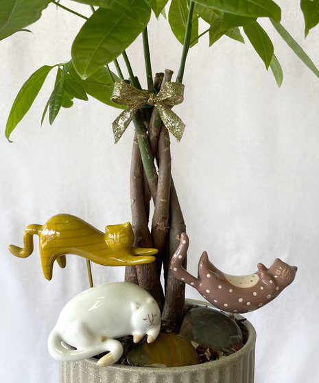 Curious Ceramic Cat Plant Stick