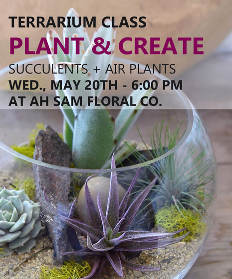 Succulents + Air Plants Terrarium Class | Wed., May 20th