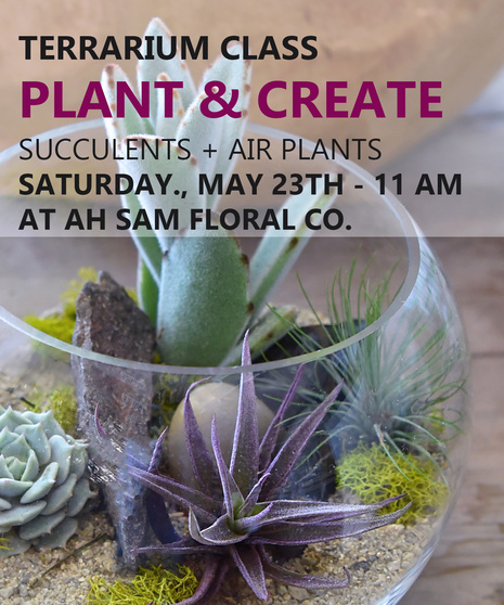 Possible plant selection for  the class demonstration. 